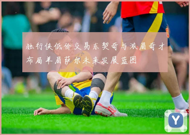独行侠低价交易东契奇与浓眉奇才布局羊眉萨尔未来发展蓝图