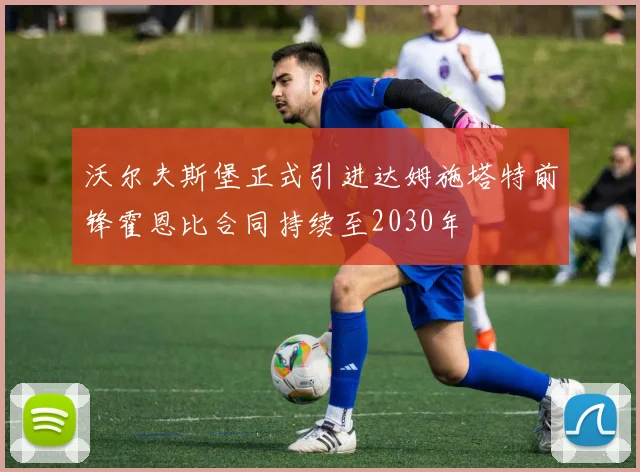 沃尔夫斯堡正式引进达姆施塔特前锋霍恩比合同持续至2030年