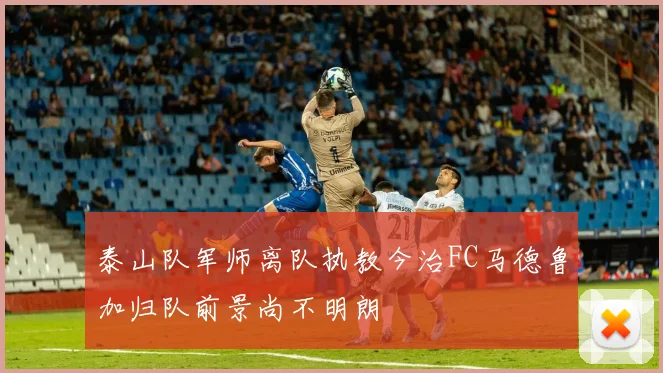泰山队军师离队执教今治FC马德鲁加归队前景尚不明朗